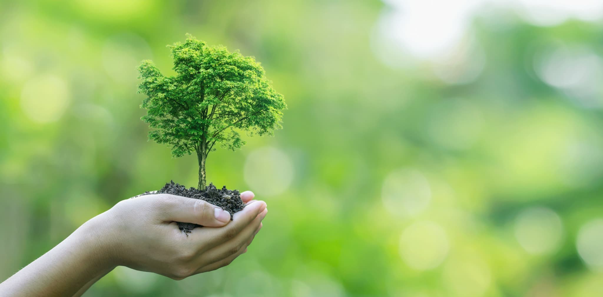 Welcome to AgreenChoice